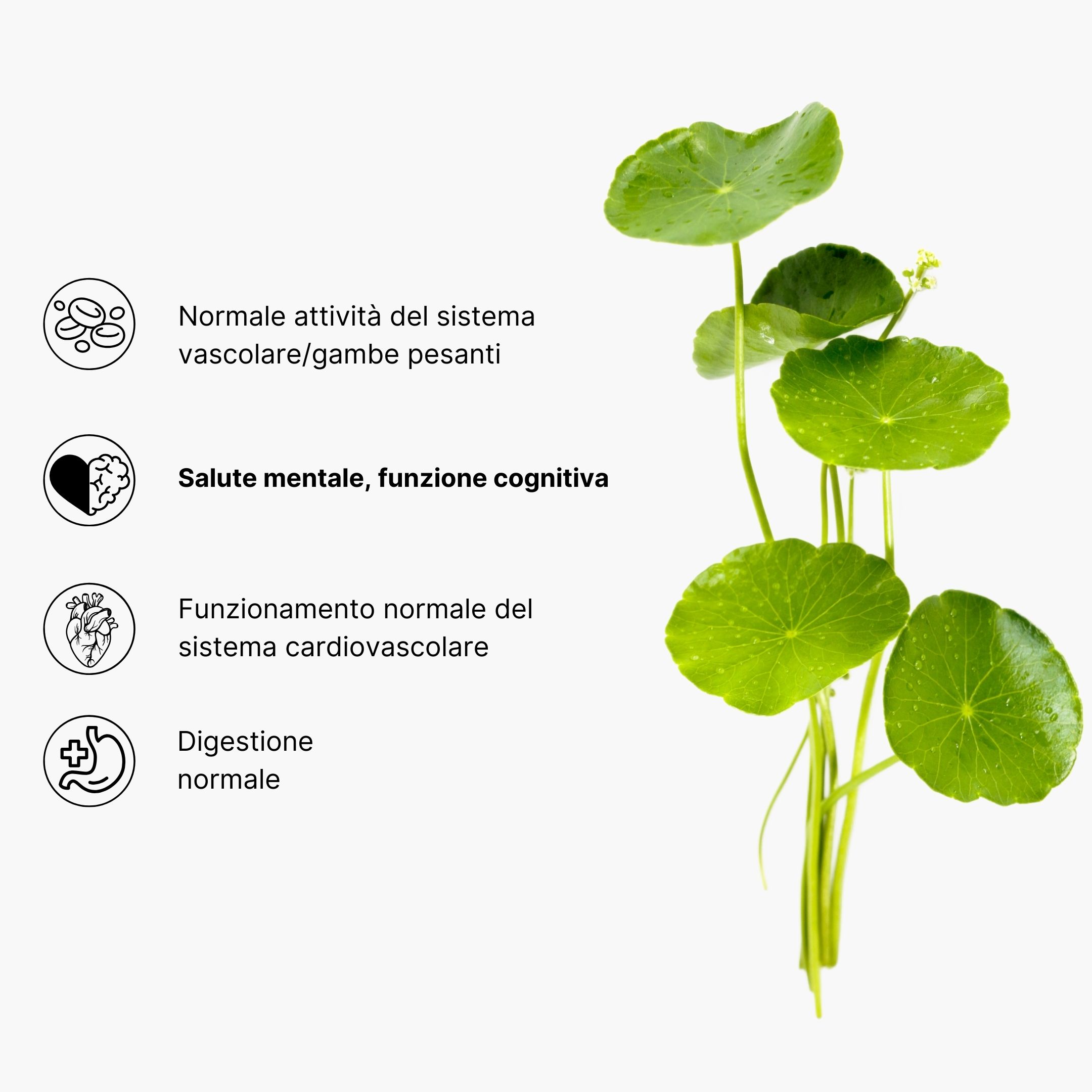 (Italština) Magnesium ve spreji (3)